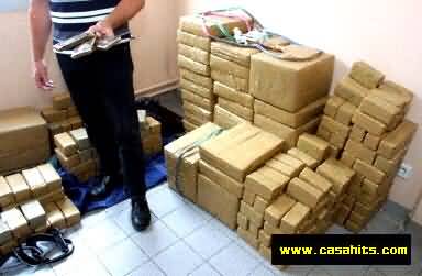 alhachich???????????????????